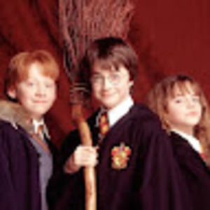 Meet your Posher, Amelia